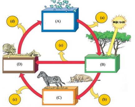 Đề thi thử THPT Quốc gia năm 2017 môn Sinh học