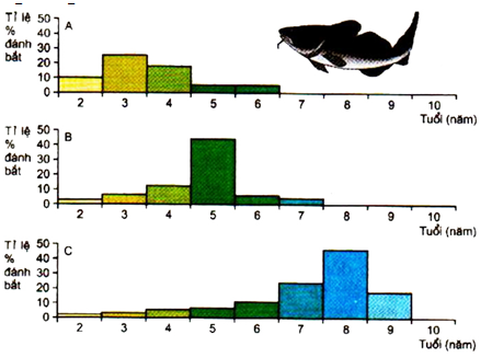 Đề thi thử THPT Quốc gia năm 2017 môn Sinh học