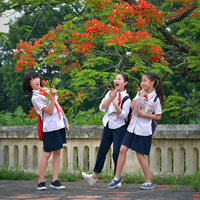 Đề thi học sinh giỏi môn Hóa học lớp 9 Phòng GD&ĐT Thành phố Bắc Giang năm học 2016 - 2017