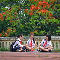 Đề thi học sinh giỏi môn Ngữ văn lớp 6 Phòng GD&ĐT Thành phố Bắc Giang năm học 2016 - 2017