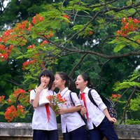 Đề thi học sinh giỏi môn Ngữ văn lớp 7 Phòng GD&ĐT Thành phố Bắc Giang năm học 2016 - 2017