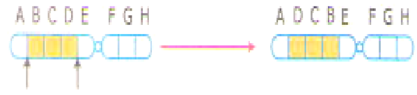 Đề thi thử THPT Quốc gia 2017 môn Sinh học