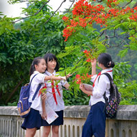 Đề thi vào lớp 10 môn Toán tỉnh Hải Dương năm học 2017 - 2018