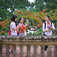 Đề thi vào lớp 10 môn Ngữ văn (chuyên) tỉnh Quảng Bình năm học 2016 - 2017