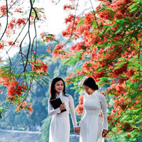 Câu hỏi trắc nghiệm môn Lý luận chính trị - Phần 4