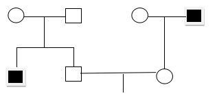 Đề thi thử THPT Quốc gia năm 2017 môn Sinh học