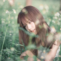 Câu hỏi trắc nghiệm môn Sinh học lớp 9: Chương ứng dụng di truyền học - Phần 2