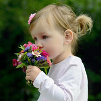 Giáo án mầm non trọn bộ