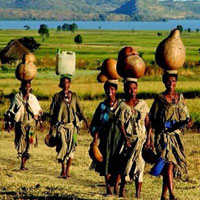 Bài tập trắc nghiệm Lịch sử 9: Các nước châu Phi