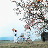 Câu hỏi trắc nghiệm môn Cơ sở văn hóa Việt Nam: Tiến trình văn hóa Việt Nam