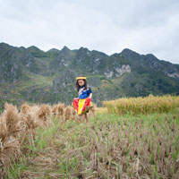 Bài tập Tiếng Việt lớp 3 - Tuần 9