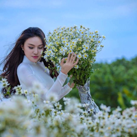 Thi khối C nên chọn ngành nào trường nào dễ xin việc?