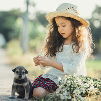 Bí quyết giúp học sinh giành giải thi Toán qua mạng