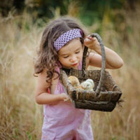 Bài tập trắc nghiệm về hệ tuần hoàn hở