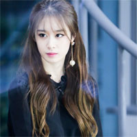 Câu hỏi trắc nghiệm môn Pháp luật đại cương - Phần 13