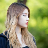 Câu hỏi trắc nghiệm môn Pháp luật đại cương - Phần 19