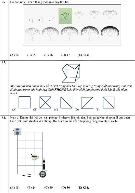 Đề thi Toán học trẻ quốc tế