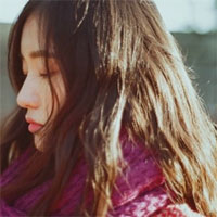 Câu hỏi trắc nghiệm môn Pháp luật đại cương - Phần 24