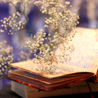 Cụm từ tiếng Anh về khí hậu và thời tiết thông dụng