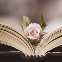 Những cụm từ tiếng Anh đi với “job”