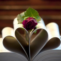 Những cụm từ tiếng Anh thông dụng giao tiếp trong công việc