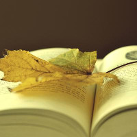 Đề thi vào lớp 10 môn Tiếng Anh tỉnh An Giang năm học 2017 - 2018