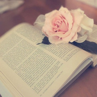 10 cụm động từ tiếng Anh đi với Set