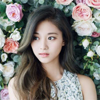 Câu hỏi trắc nghiệm môn Lịch sử đảng cộng sản Việt Nam - Phần 18