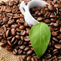 Từ vựng tiếng Anh về cà phê và dùng ở quán trà