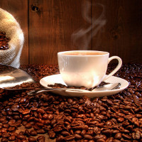 Cụm từ tiếng Anh về sản xuất và xuất khẩu cà phê