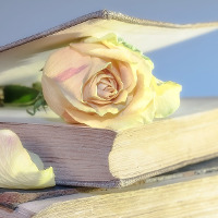 Giải bài tập SGK Tiếng Anh lớp 7 Chương trình mới Review 2