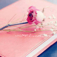 30 cụm từ tiếng Anh bắt đầu bằng “on”