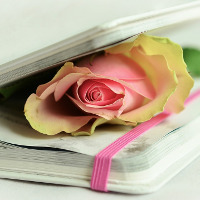 Trọng tâm ngôn ngữ 3 - Trang 95 sgk Tiếng Anh 7