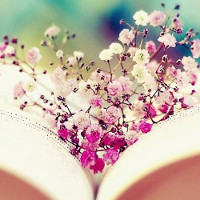 Trọng tâm ngôn ngữ 4 - trang 123 sgk Tiếng Anh 7