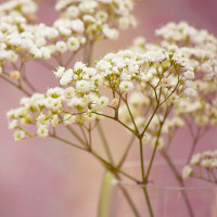 Trọng tâm ngôn ngữ 5 - trang 162 sgk Tiếng Anh 7