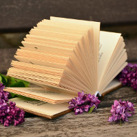 Bài tập ôn thi Học sinh giỏi môn tiếng Anh lớp 4