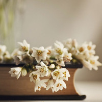 Giải bài tập SGK Tiếng Anh lớp 6 Chương trình mới Review 1 (Unit 1-2-3)