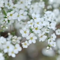 Giải bài tập SGK Tiếng Anh lớp 6 Chương trình mới Review 2 (Unit 4 - 5 - 6)