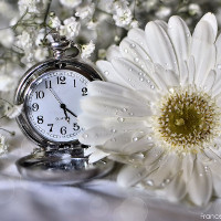 Giải bài tập SGK Tiếng Anh lớp 6 Chương trình mới Unit 5: Natural Wonders of The World