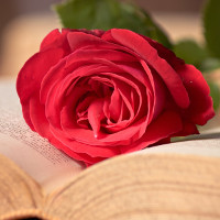 Ngữ pháp và bài tập môn tiếng Anh lớp 4 chương trình mới