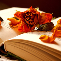 Những cụm từ tiếng Anh bắt đầu bằng "In" (Phần 3)