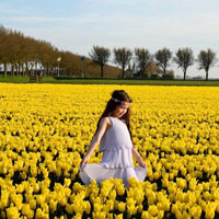 Đề thi cuộc thi “An toàn giao thông cho nụ cười ngày mai” năm học 2016 - 2017 (Dành cho giáo viên)