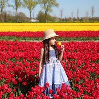 Đề thi cuộc thi “An toàn giao thông cho nụ cười trẻ thơ” năm học 2016 - 2017 (Dành cho giáo viên)