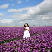 Đề thi và đáp án cuộc thi “An toàn giao thông cho nụ cười trẻ thơ” năm học 2016 - 2017 (Dành cho học sinh lớp 4)