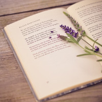 Giải bài tập SGK Tiếng Anh lớp 8 Chương trình mới Review 1