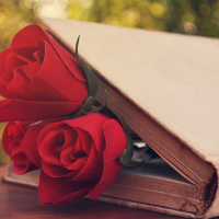 Giải bài tập SGK Tiếng Anh lớp 8 Chương trình mới Review 2