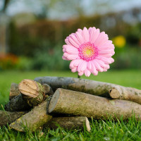 Giải bài tập SGK Tiếng Anh lớp 8 Chương trình mới Review 3 (Unit 7-8-9)