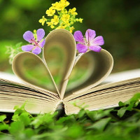 Giải sách bài tập Test yourself 4 Tiếng Anh lớp 8 chương trình mới