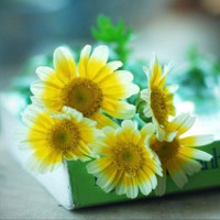 Giải bài tập SGK Tiếng Anh lớp 10 Chương trình mới Review 2: Unit 4-5