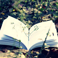 Giải bài tập SGK Tiếng Anh lớp 10 Chương trình mới Review 4: Unit 9-10